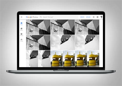 only fotos|Google Photos: Edit, Organize, Search, and Backup Your Photos